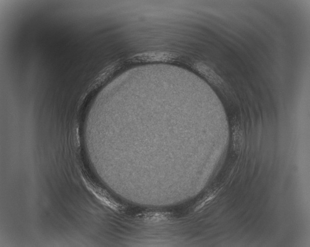 X0000081590254200702121521