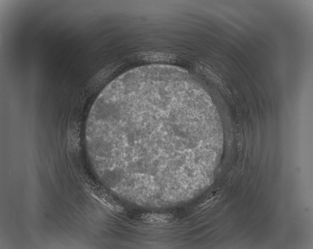 X0000081590255200702121521