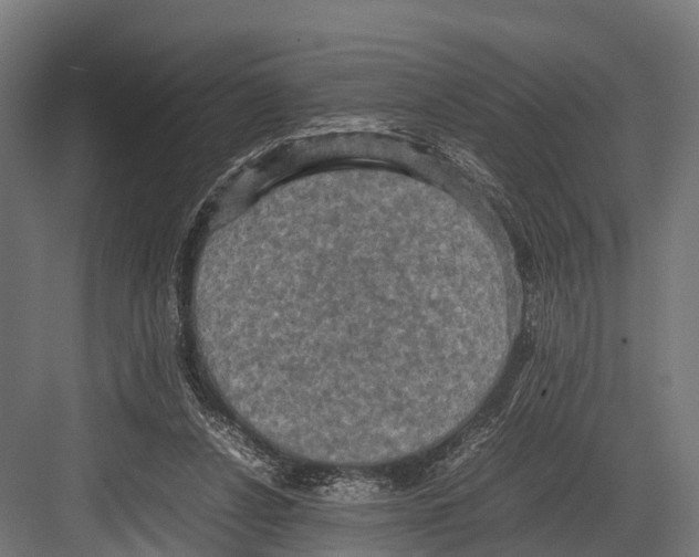 X0000081590256200702121521