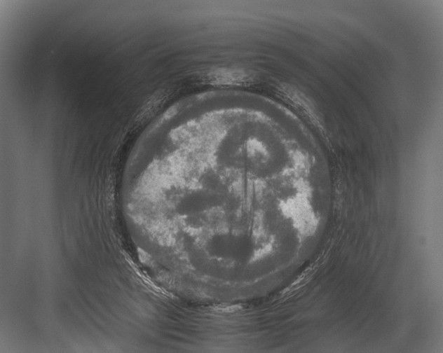 X0000081590257200702121521