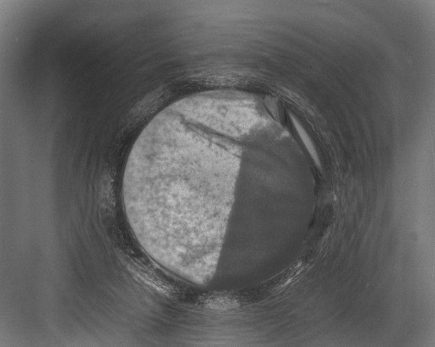 X0000081590258200702121521