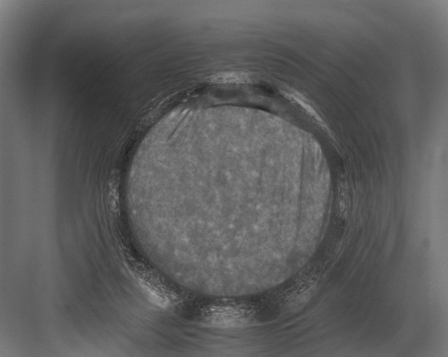 X0000081590259200702121521