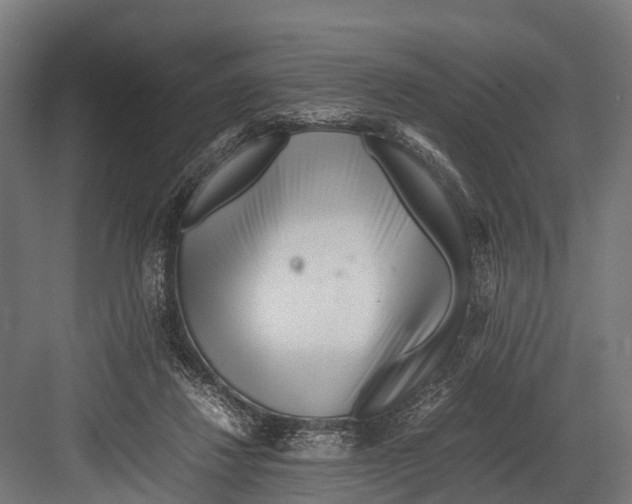 X0000081590260200702121521