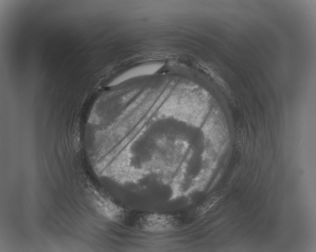 X0000081590261200702121521