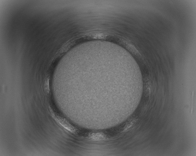 X0000081590262200702121521