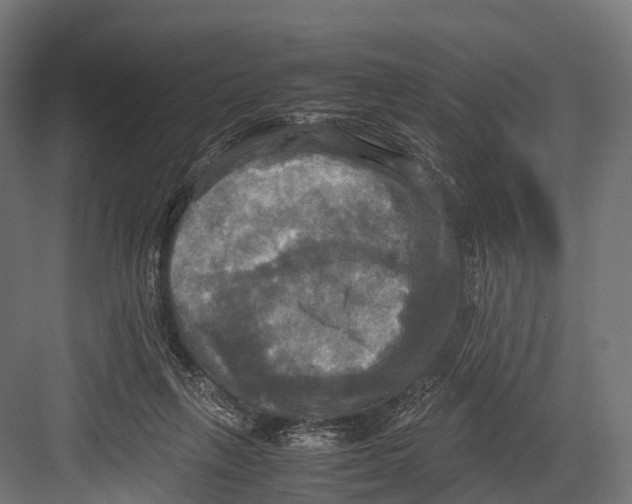 X0000081590263200702121521