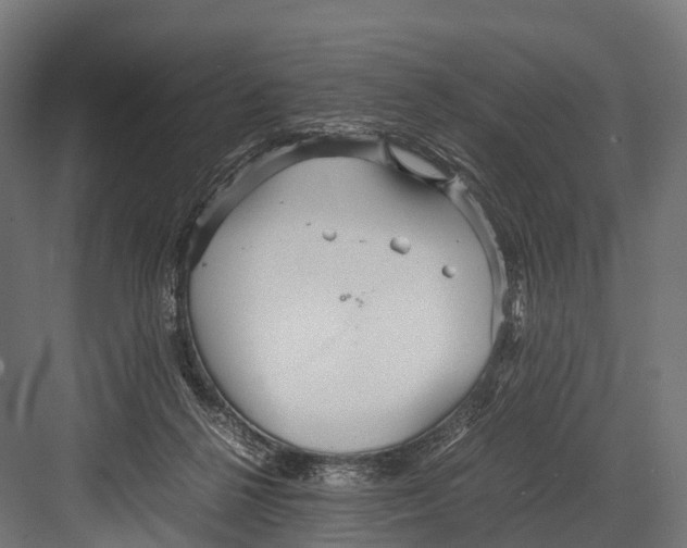 X0000081590264200702121522