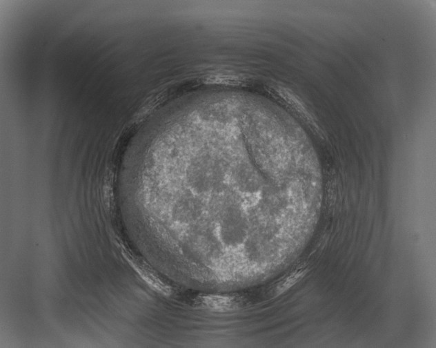 X0000081590265200702121522