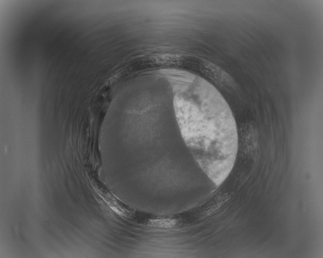 X0000081590266200702121522