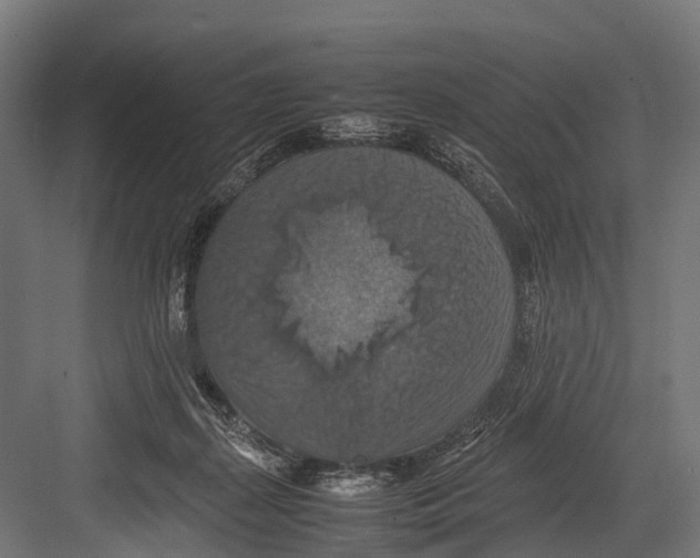 X0000081590267200702121522