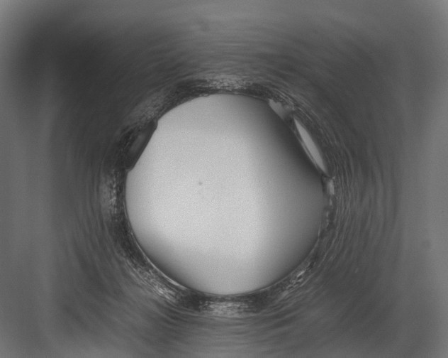 X0000081590268200702121522