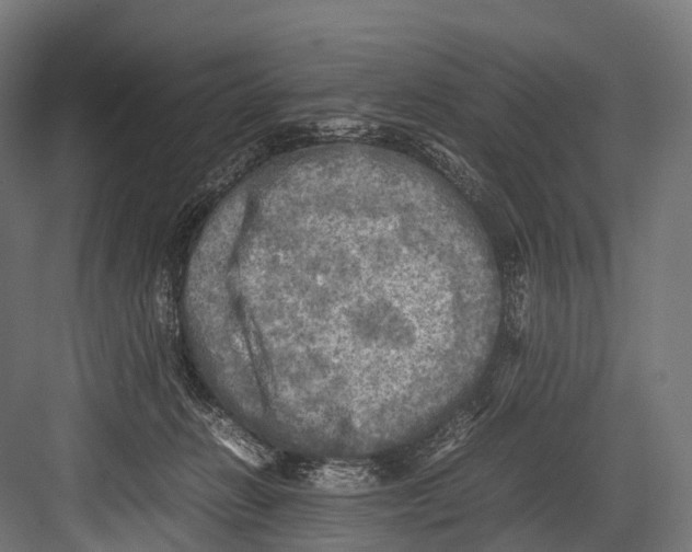 X0000081590270200702121522