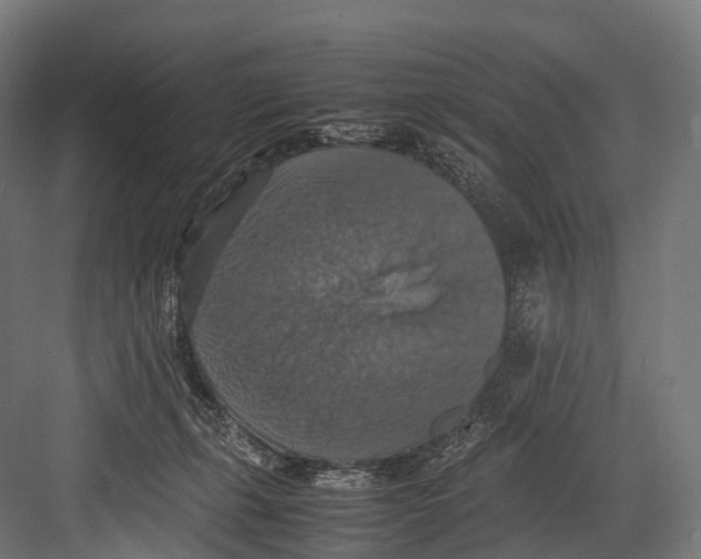 X0000081590271200702121522