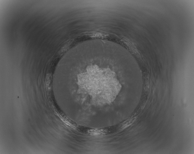 X0000081590273200702121522