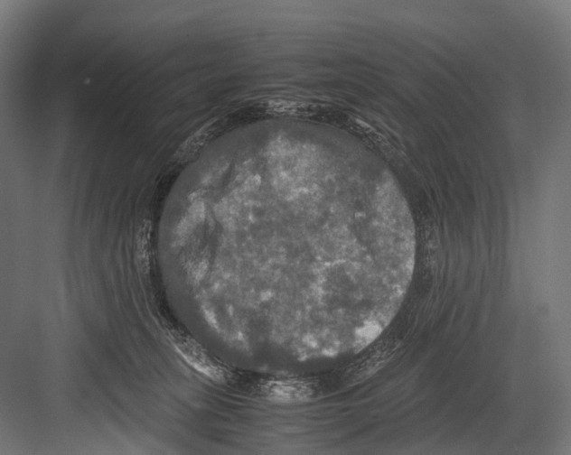 X0000081590275200702121522