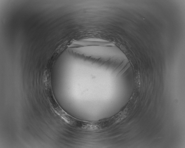 X0000081590276200702121522