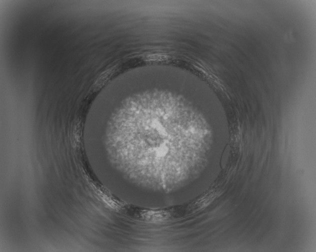 X0000081590277200702121522