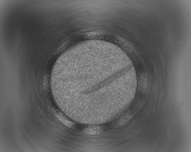 X0000081590278200702121522