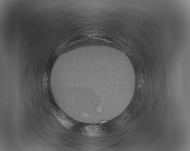 X0000081590279200702121522