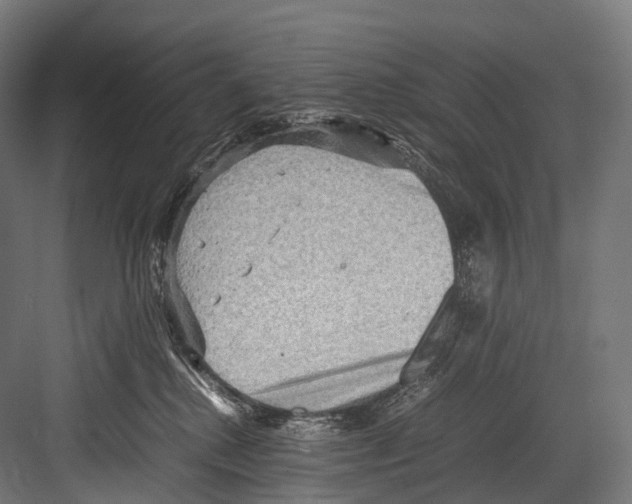 X0000081590280200702121522