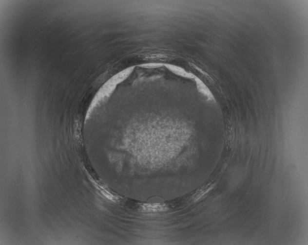 X0000081590281200702121522