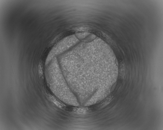 X0000081590282200702121522