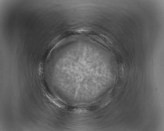 X0000081590284200702121522