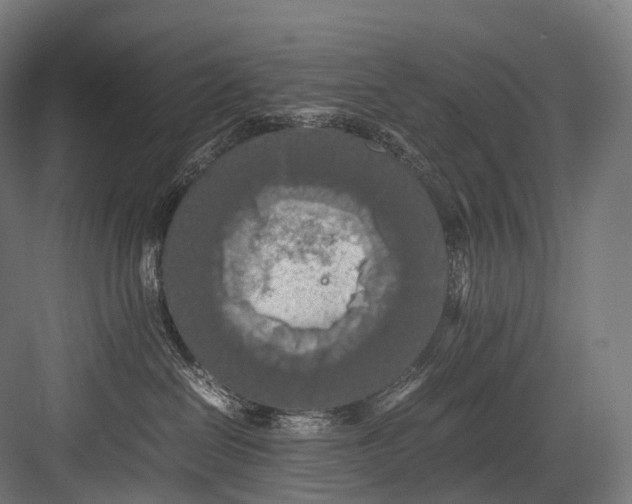 X0000081590286200702121522