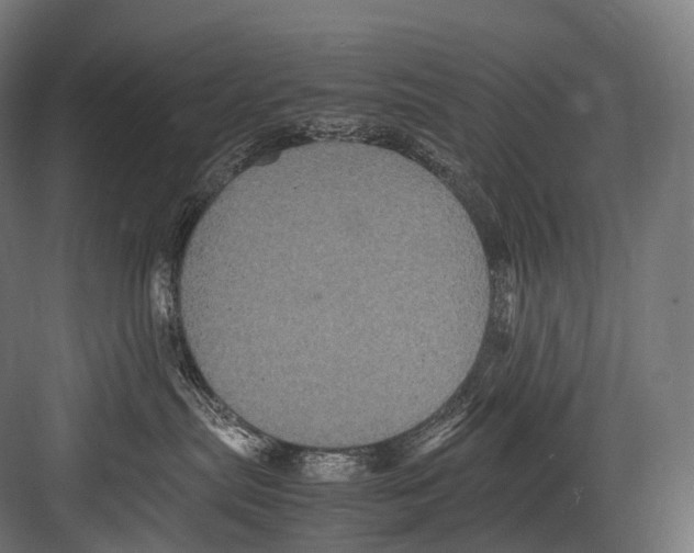 X0000081590287200702121522