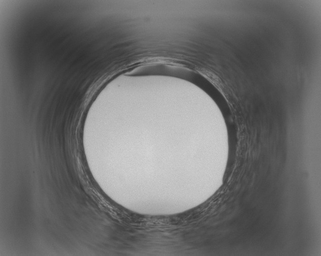 X0000081590289200702121521