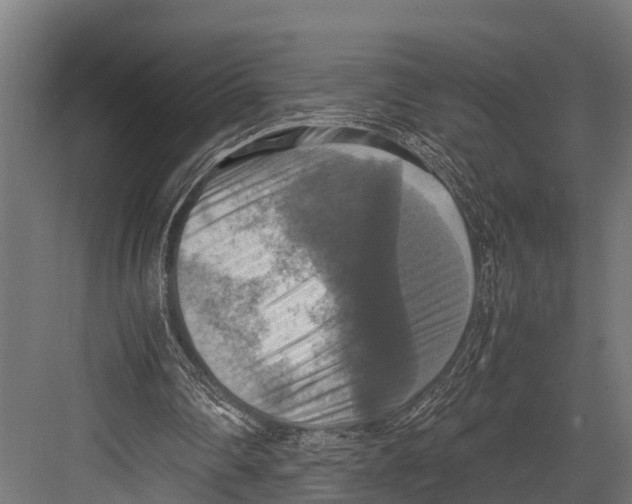 X0000081590290200702121521