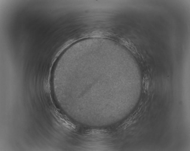 X0000081590292200702121521