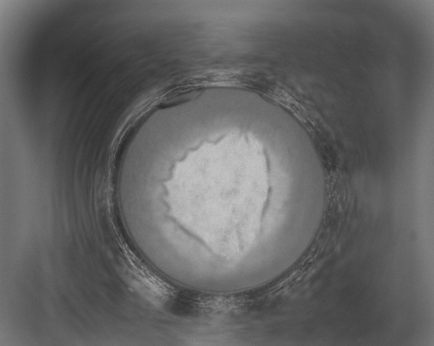 X0000081590293200702121521