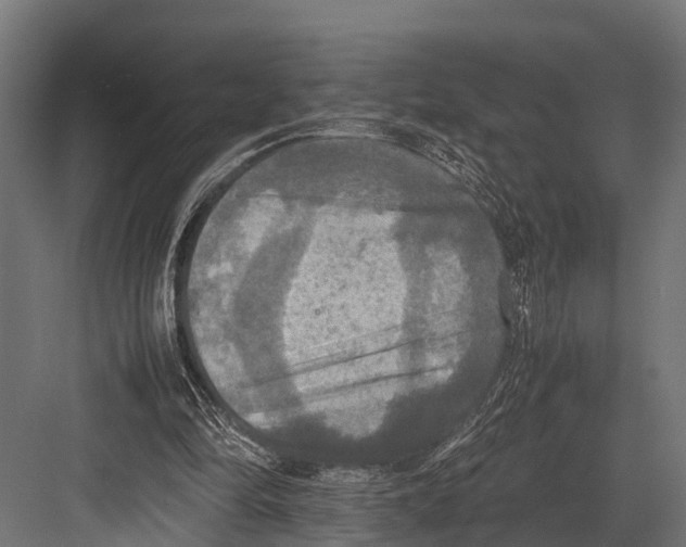 X0000081590294200702121521