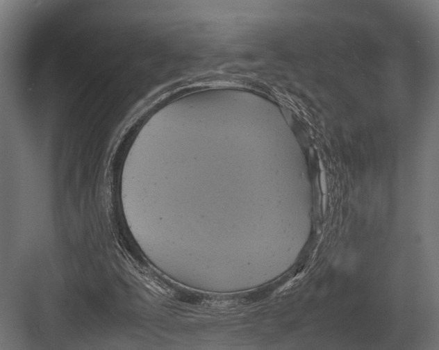 X0000081590295200702121521