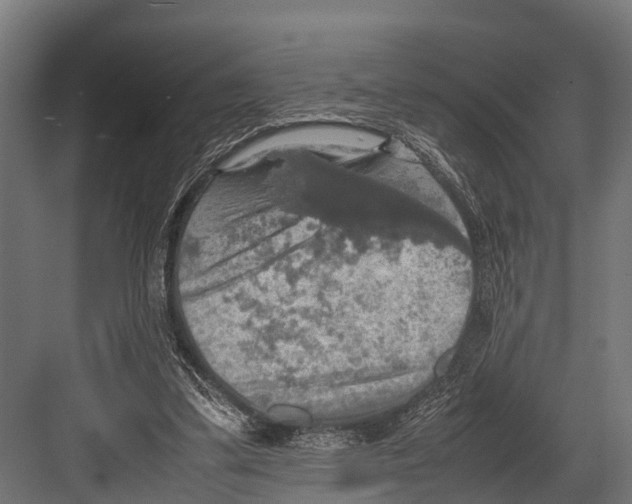 X0000081590299200702121521