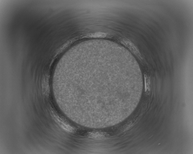 X0000081590300200702121521