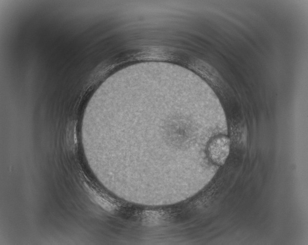 X0000081590302200702121521