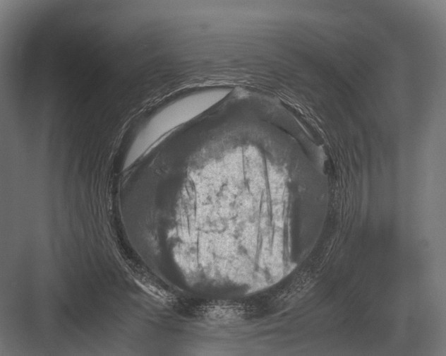 X0000081590303200702121521