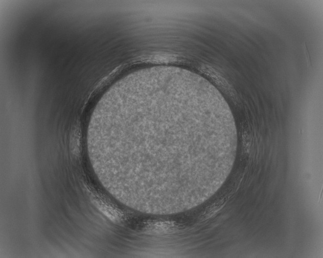 X0000081590304200702121521