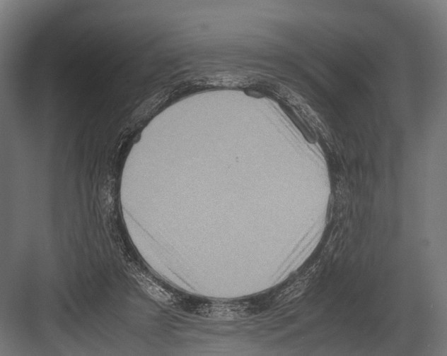 X0000081590305200702121521