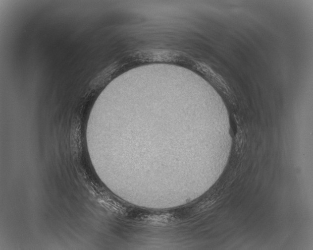 X0000081590306200702121521