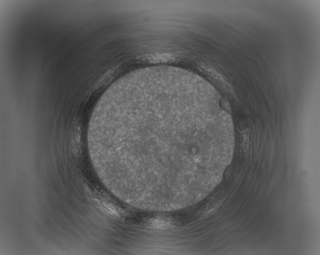 X0000081590308200702121521