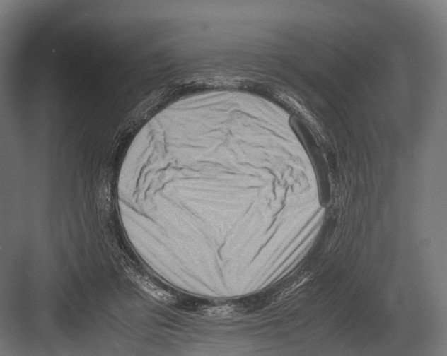 X0000081590309200702121521