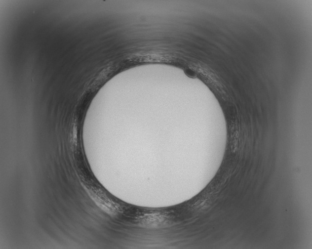 X0000081590310200702121521