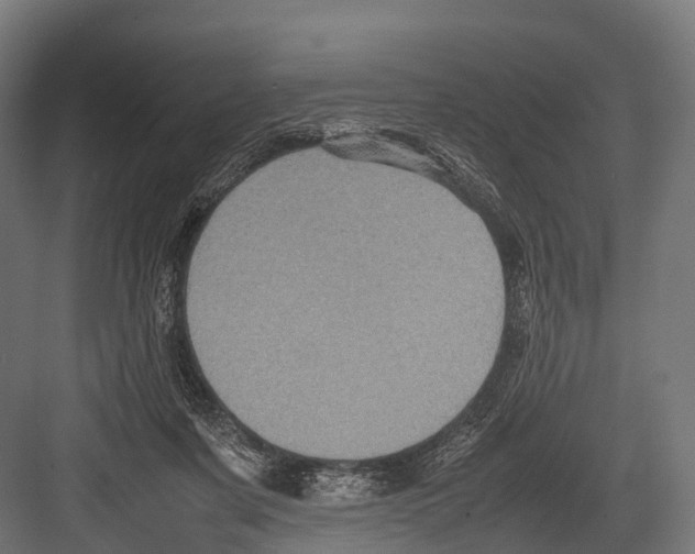 X0000081590311200702121521