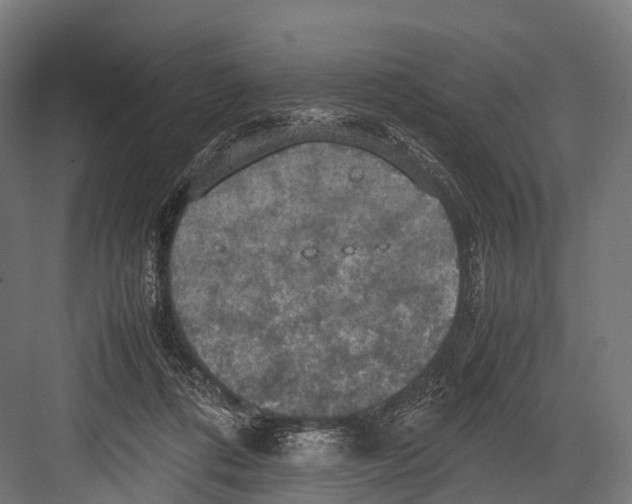 X0000081590312200702121521