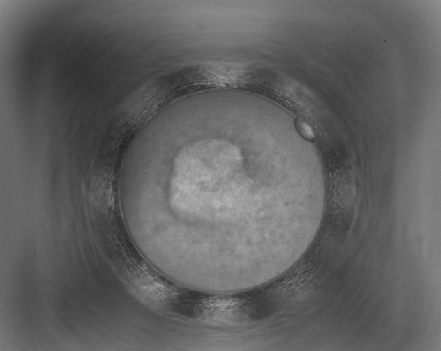 X0000081590313200702121521