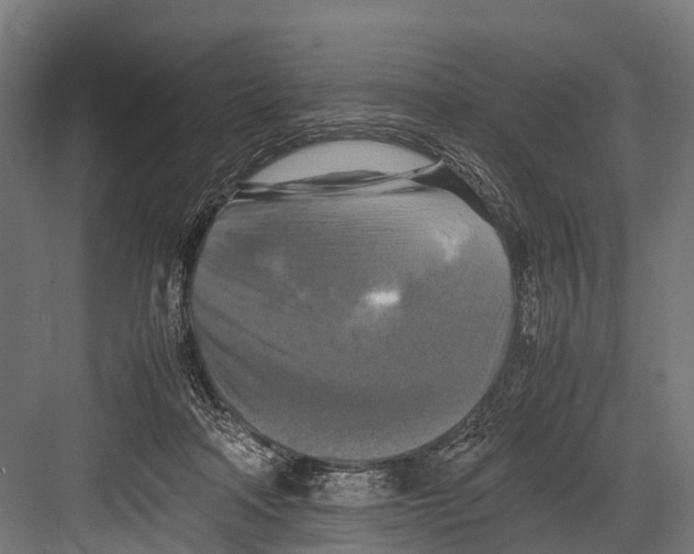 X0000081590314200702121521