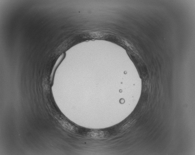 X0000081590317200702121521